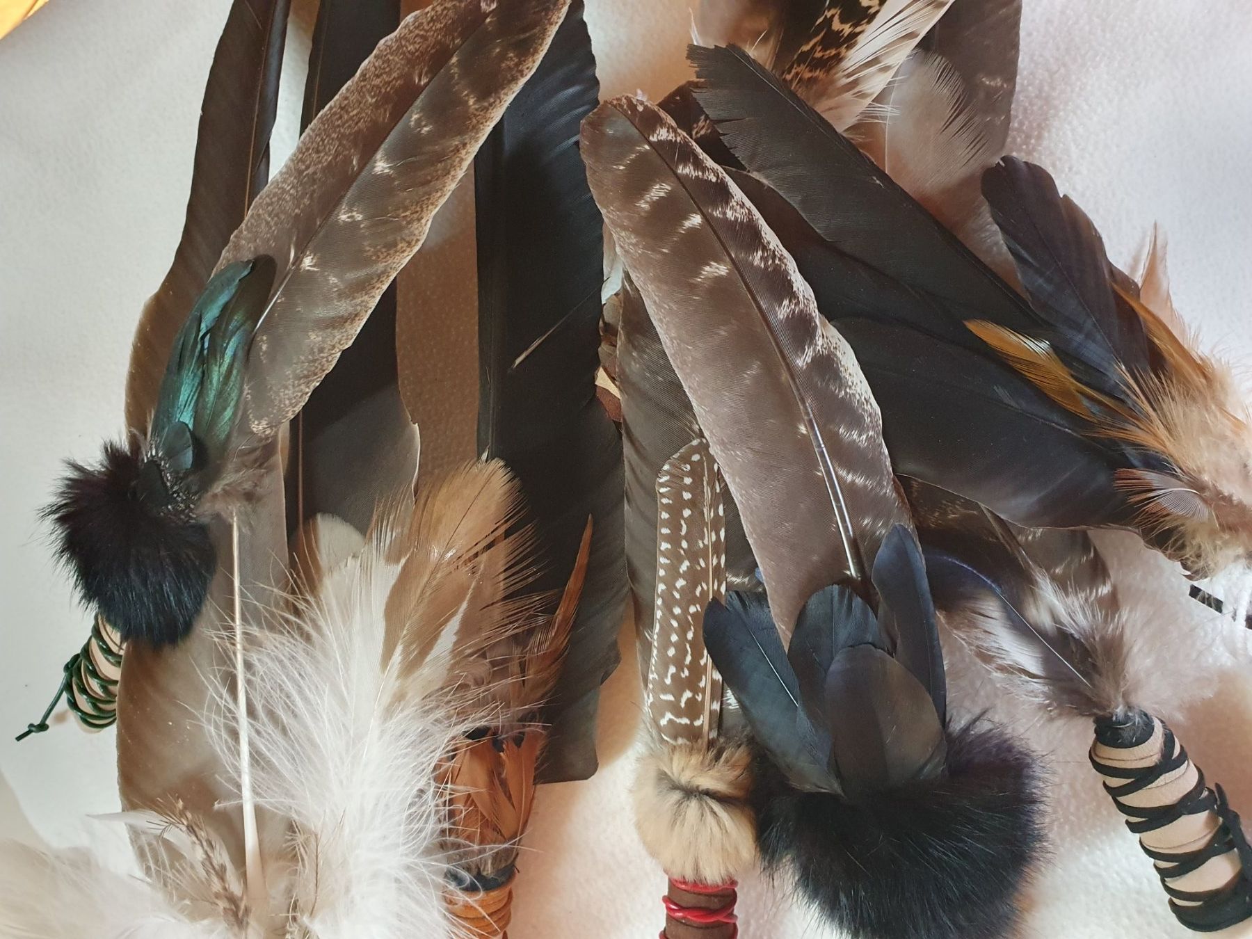 Il mondo degli animali: Truthahn-Räucherfeder - Räucherfächer, Räuchern, Ritualfeder – Nuovo e nell'imballaggio originale da Wermatswil venduto da welltouch 5
