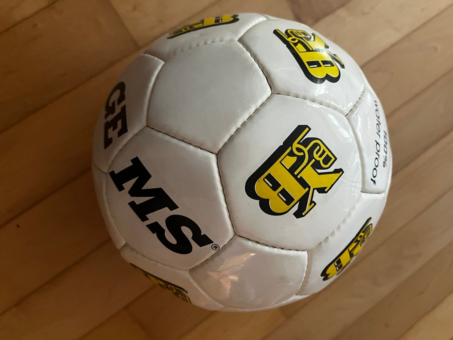 Palloni: BSC Young Boys Fussball – Usato da Bern venduto da all_6bff