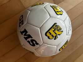 BSC Young Boys Fussball