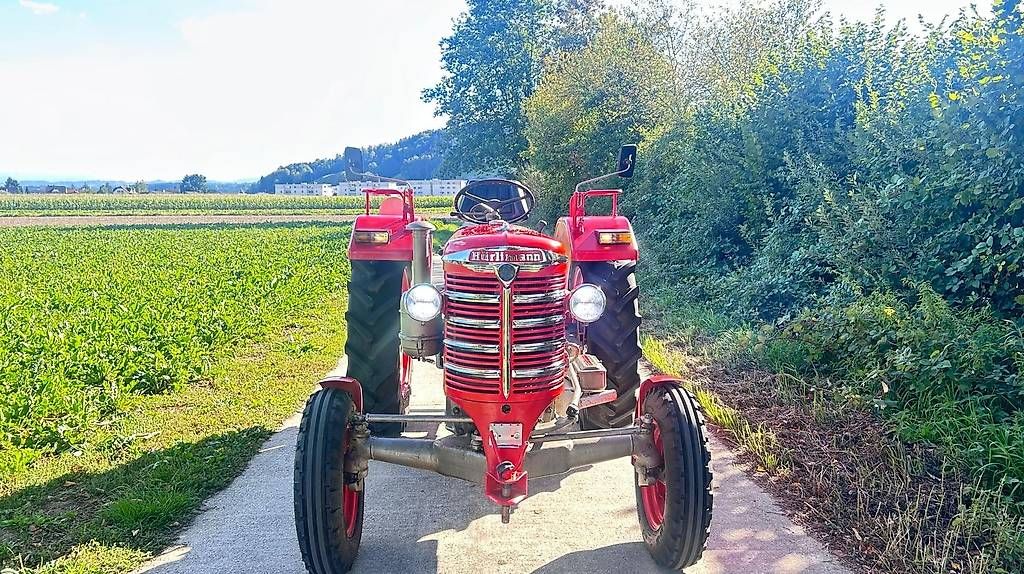 Tracteurs: Oldtimer Hürlimann D 100 S – D'occasion à Roggliswil par New007 2