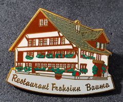 Z450 - Pin Haus Restaurant Frohsinn Bauma