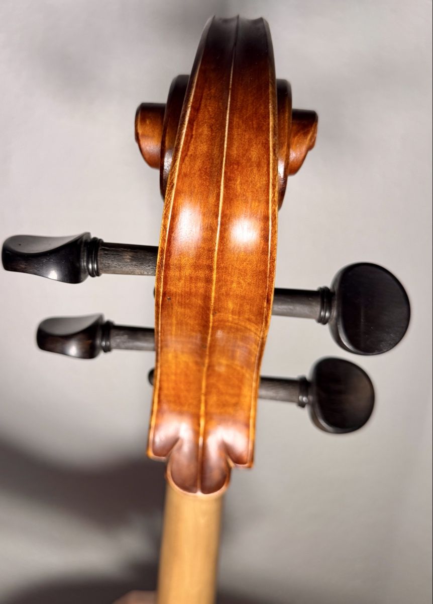 Musikinstrumente: Violoncelle 4/4, modèle vénitien  – Gebraucht aus Muri b Bern von Mustermann 4