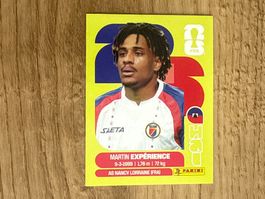 Panini FIFA WM 2026 Sticker Martin Expérience HAI 4