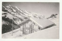 Ansichtskarte Ferienhaus Märxi Adelboden 1964 Gelaufen