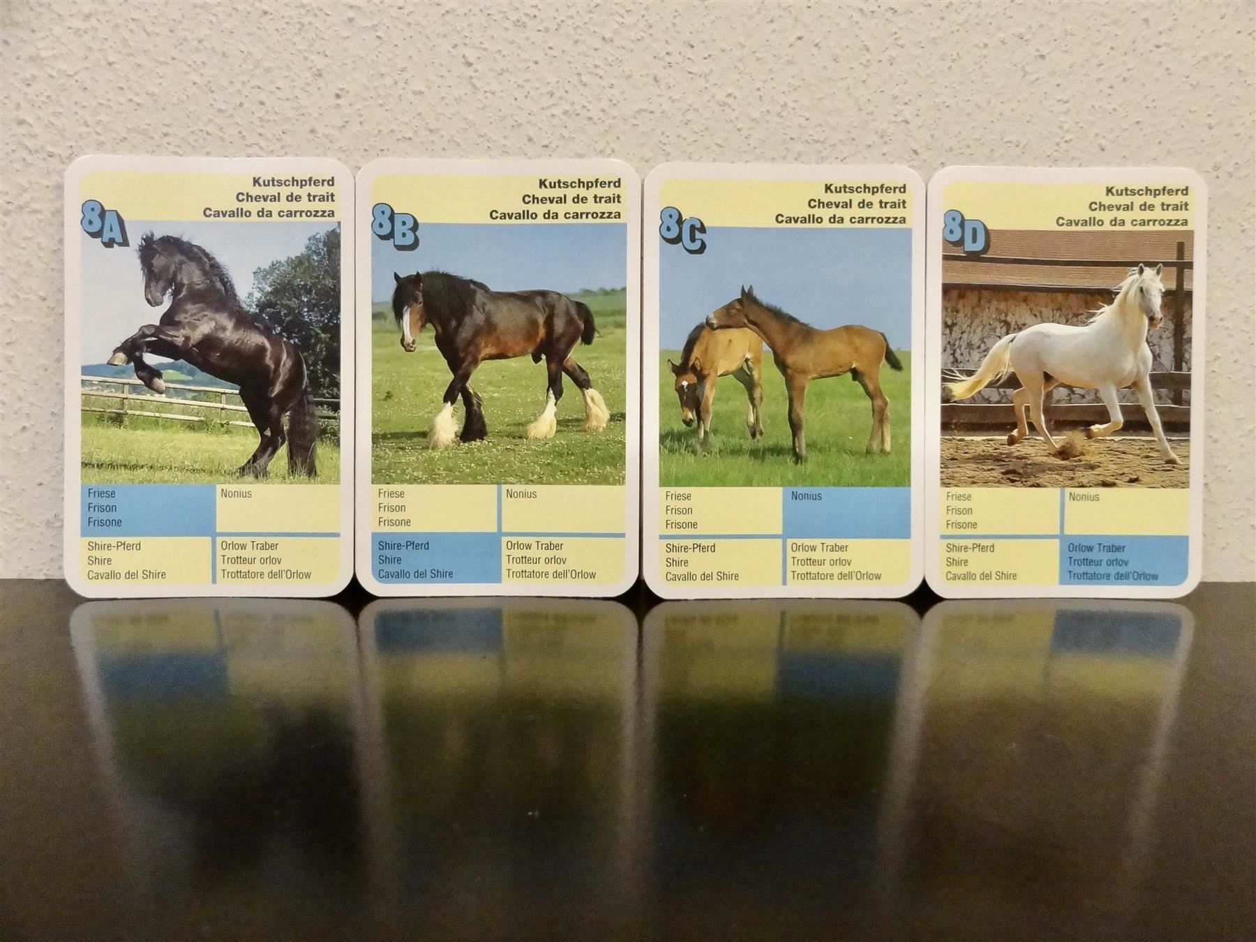 Ravensburger Giochi: Quartett TIER-QUARTETT PFERDE PFERD – Usato da Kerzers venduto da wisaundso 9