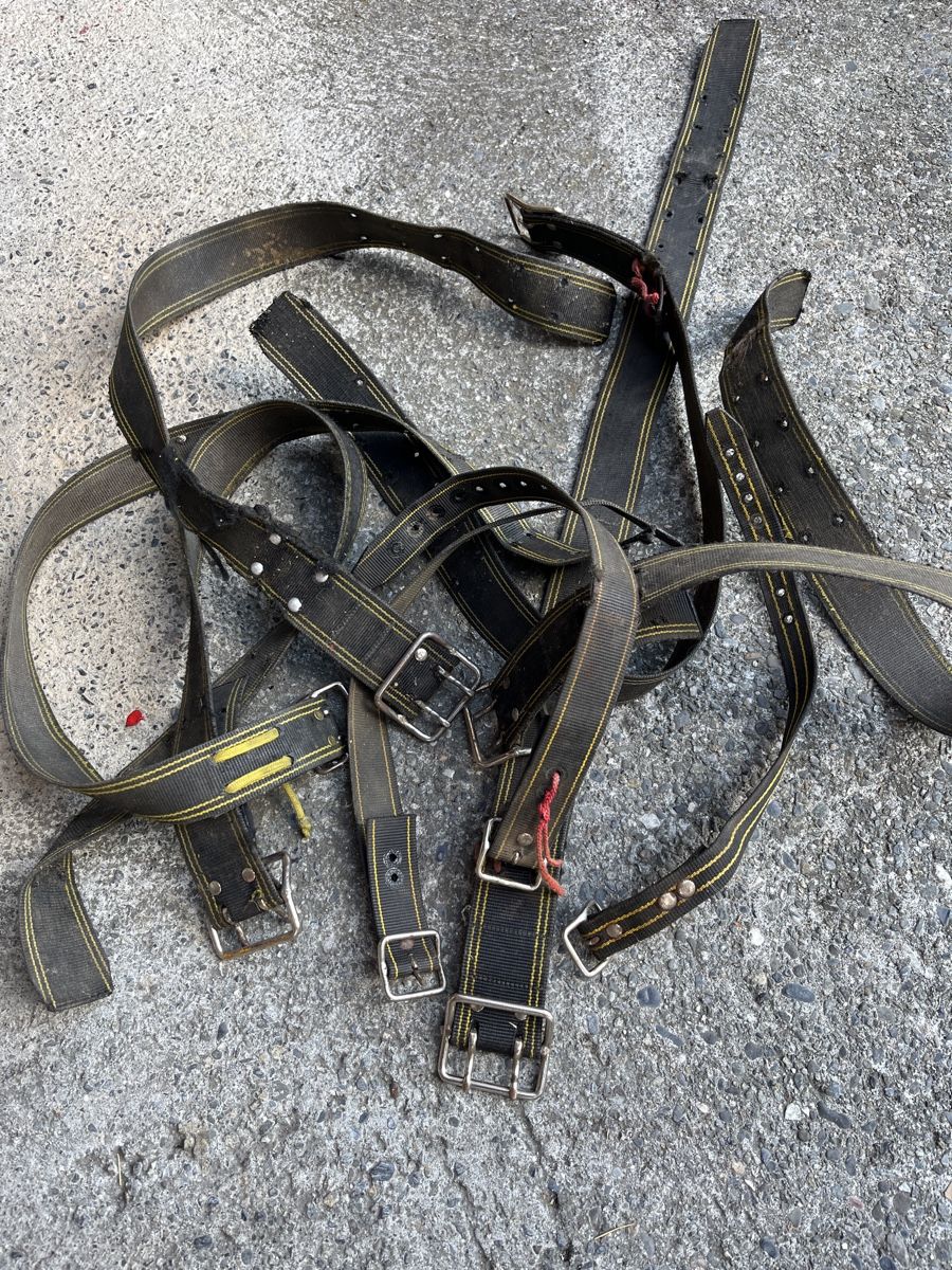 Campanacci mucche: Glocken Riemen 9 Stk – Usato da Brienz BE venduto da hey_z9vg