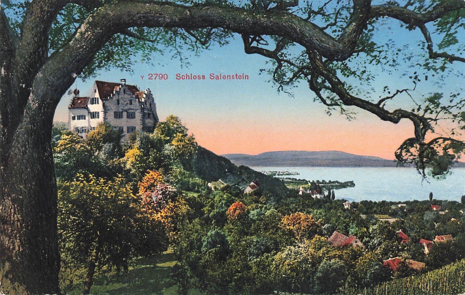 Cartoline postali: Schloss salenstein – Usato da Biasca venduto da Blenio71