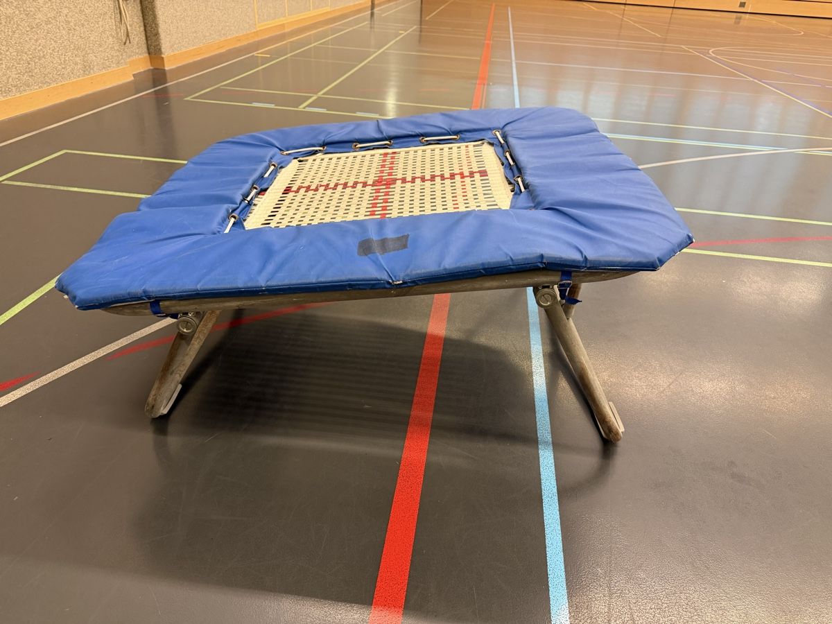 Trampoline: Mini Trampolin blau mit Federn gebraucht – Gebraucht aus Zürich von Frodokauft 2