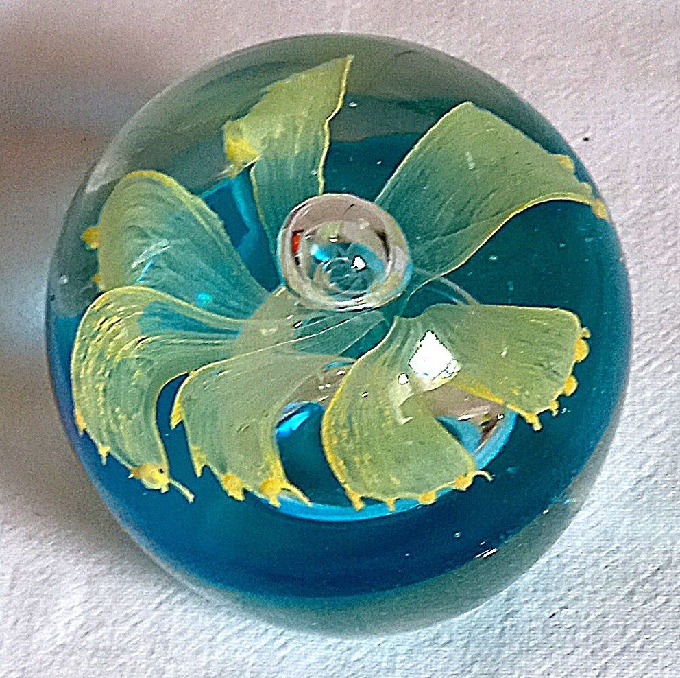 Murano Bicchieri: Briefbeschwerer Muranoglas – Usato da Baar venduto da 2cvbaar 1