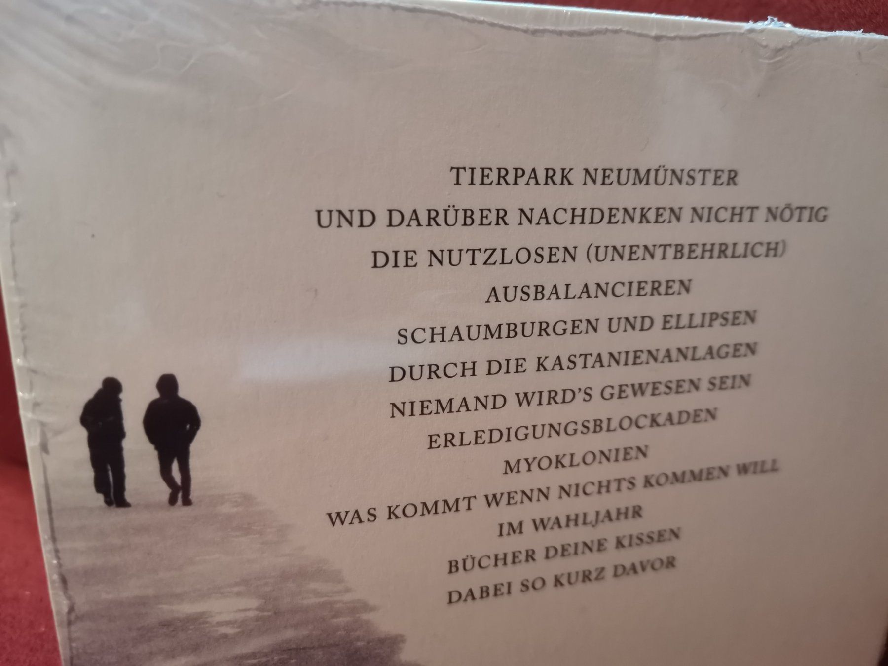 CD: Clickclickdecker CD Ich glaub dir gar nichts und irgendwie – Nuovo (secondo la descrizione) da Zofingen venduto da noise123 2