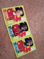 Panini Sticker Set Belgien Argentinien Spanien neu