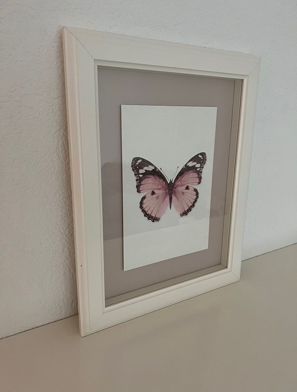 Foto & Immagini: Schmetterlingsbild gerahmt – Usato da Zollikofen venduto da Wishbear