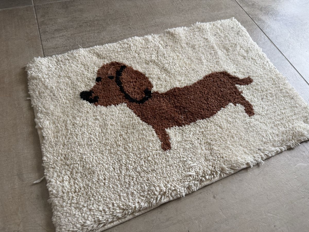 Biancheria da letto: Cute Dachshund Rug 🐾 – Usato da Zürich venduto da dam_t7hk 1