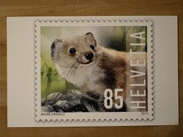 AK mit Tier Briefmarke Motiv von Naomi Giewald