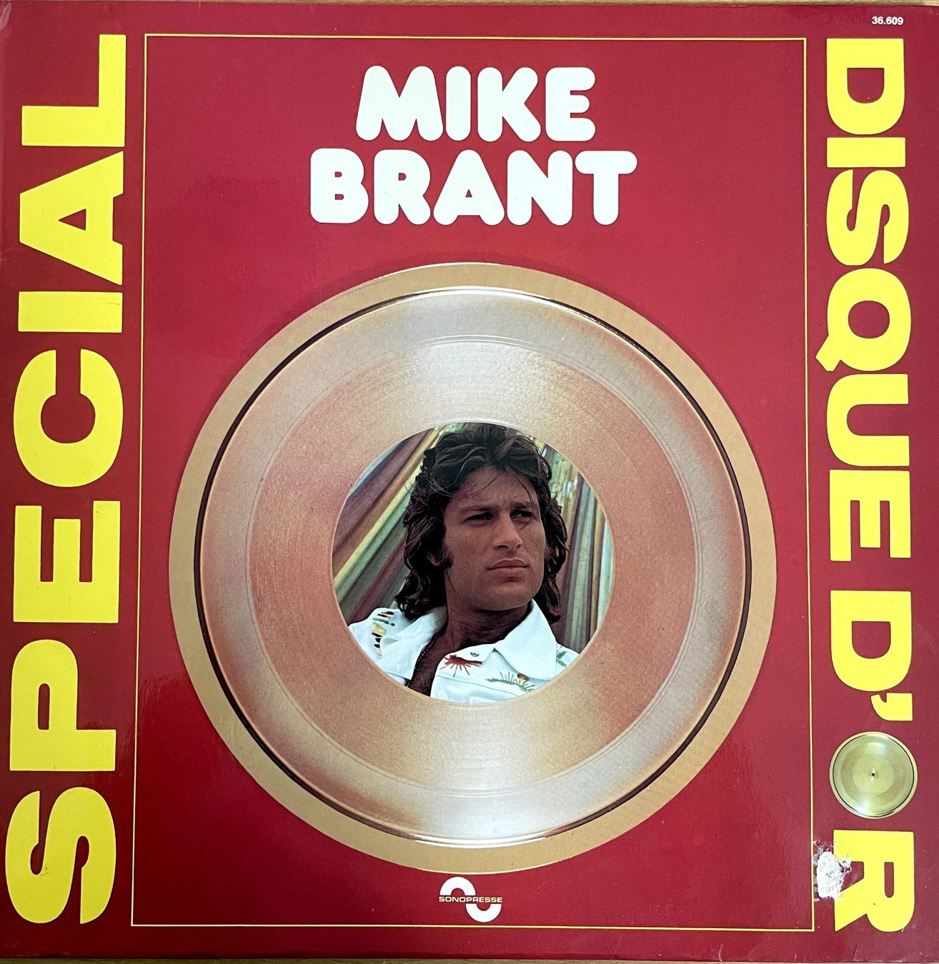 Dischi in vinile: Mike Brant - Spécial disque d'or – Usato da Savagnier venduto da Ne2065