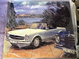 Mercedes-Benz pagode & w108 Oldtimer
