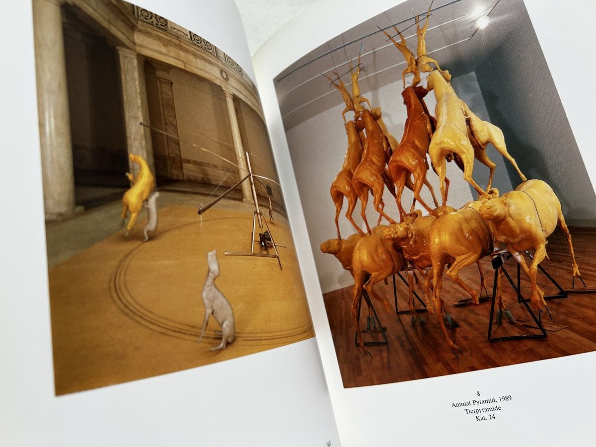 Libri: Bruce Nauman Sculptures & Installations 1985-1990, Book! – Usato da Zürich venduto da Coffeetable88 3