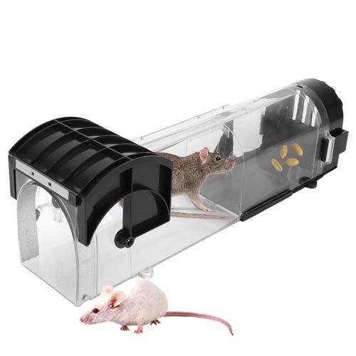 Cages, transport & sécurité: Mausefalle – Neuf avec emballage d'origine à Liestal par OMAROSHOP