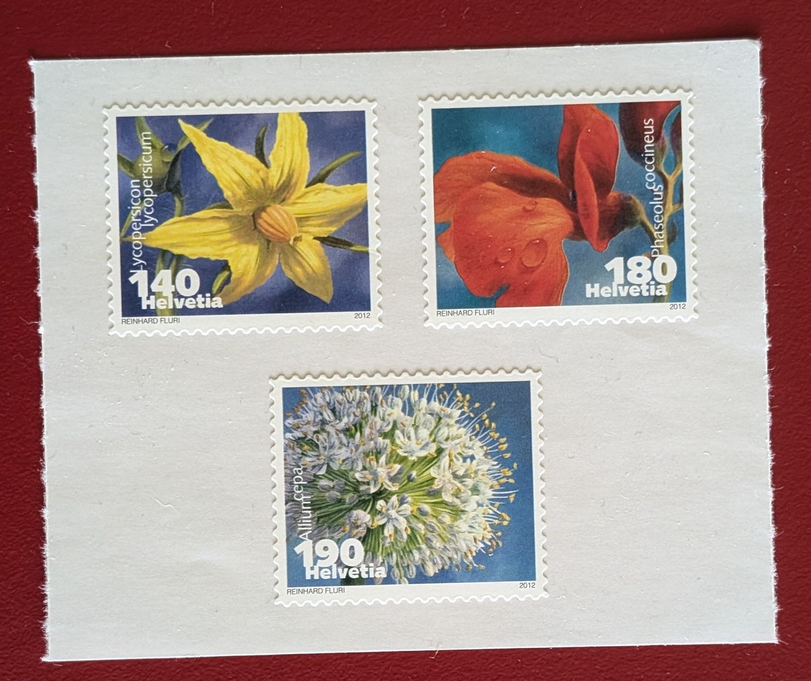 Tutti i francobolli: WERBE MARKEN GEMÜSEBLÜTEN II 1424 - 1426 2012** POSTFRISCH – Nuovo (secondo la descrizione) da Düdingen venduto da Quartierstrasse