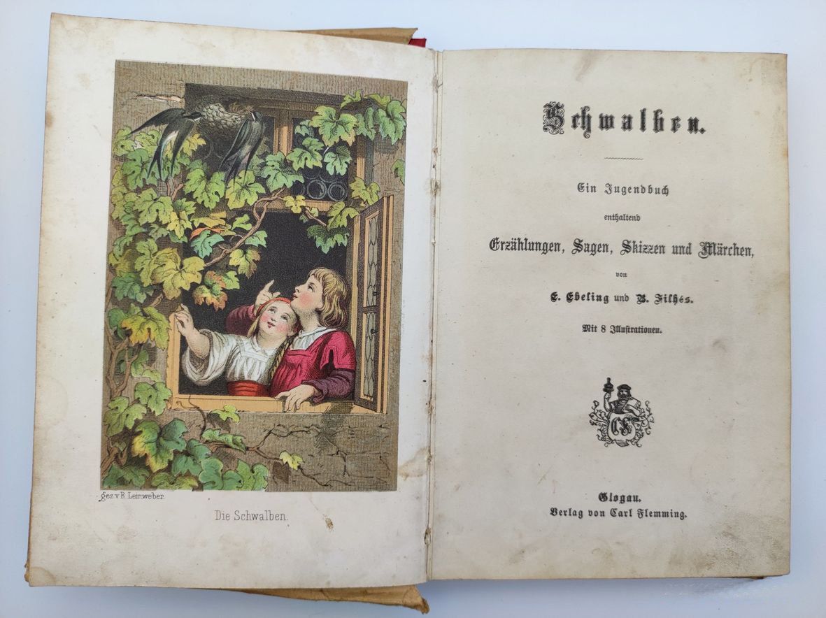 Libri: KINDER- UND JUGENDLITERATUR – Usato da Goldach venduto da Gaip
