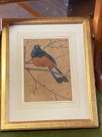 (50) SCHICKTANZ Karl Aquarell Vogel signiert