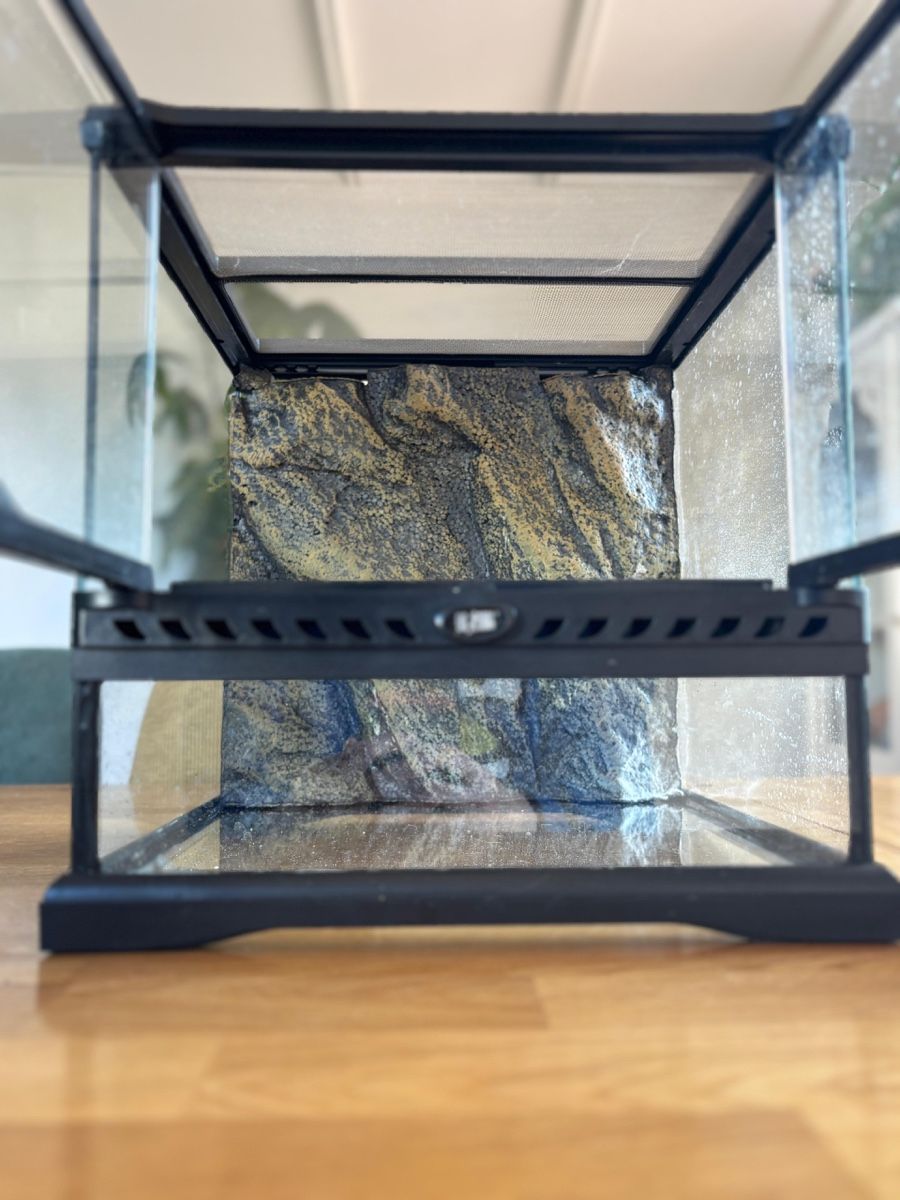 Exo terra Terrario: Exo Terra Terrarium 30cmx30cmx30cm – Usato da Holderbank SO venduto da Nicoo93
