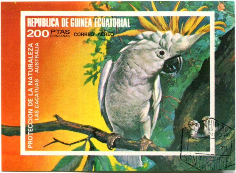 Tous les timbres: Block "Kakadu". Äquatorialguinea. – Neuf avec emballage d'origine à Basel par Butsch5