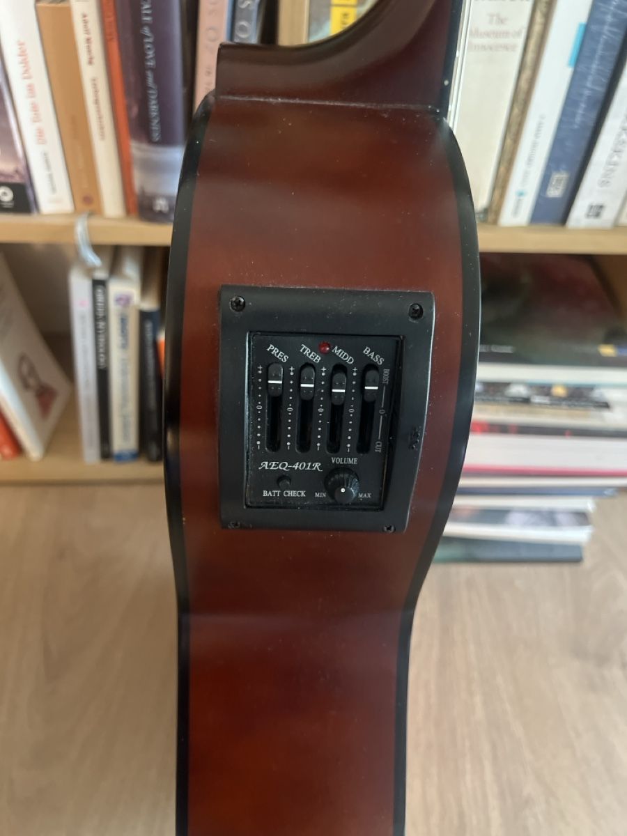 Strumenti musicali: Konzertgitarre elektrisch – Usato da Cham venduto da Jaenu. 6