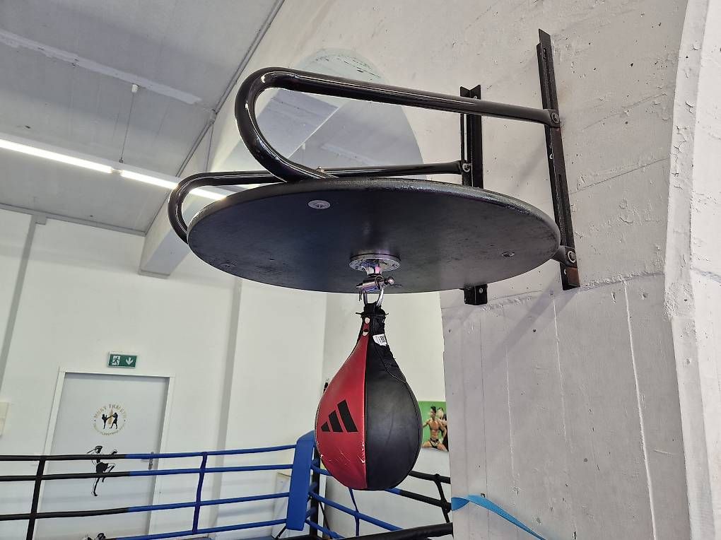 Sacchi da boxe: Boxbirne mit Aufhängung – Usato da bronschhofen venduto da Prolf 1