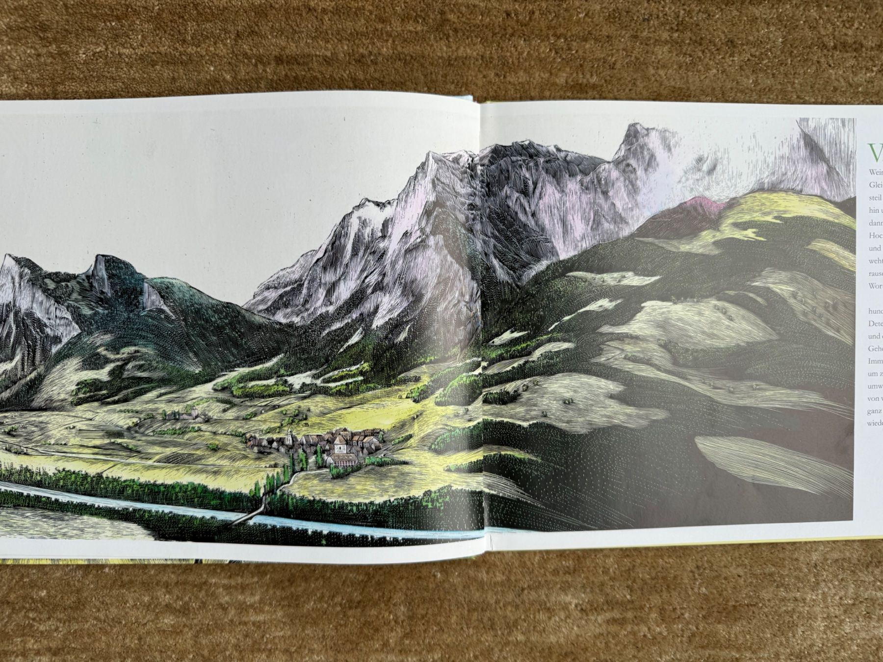 Libri: Heidi - Hannes Binder Peter Stamm – Usato da Aarau venduto da Kilauea 1
