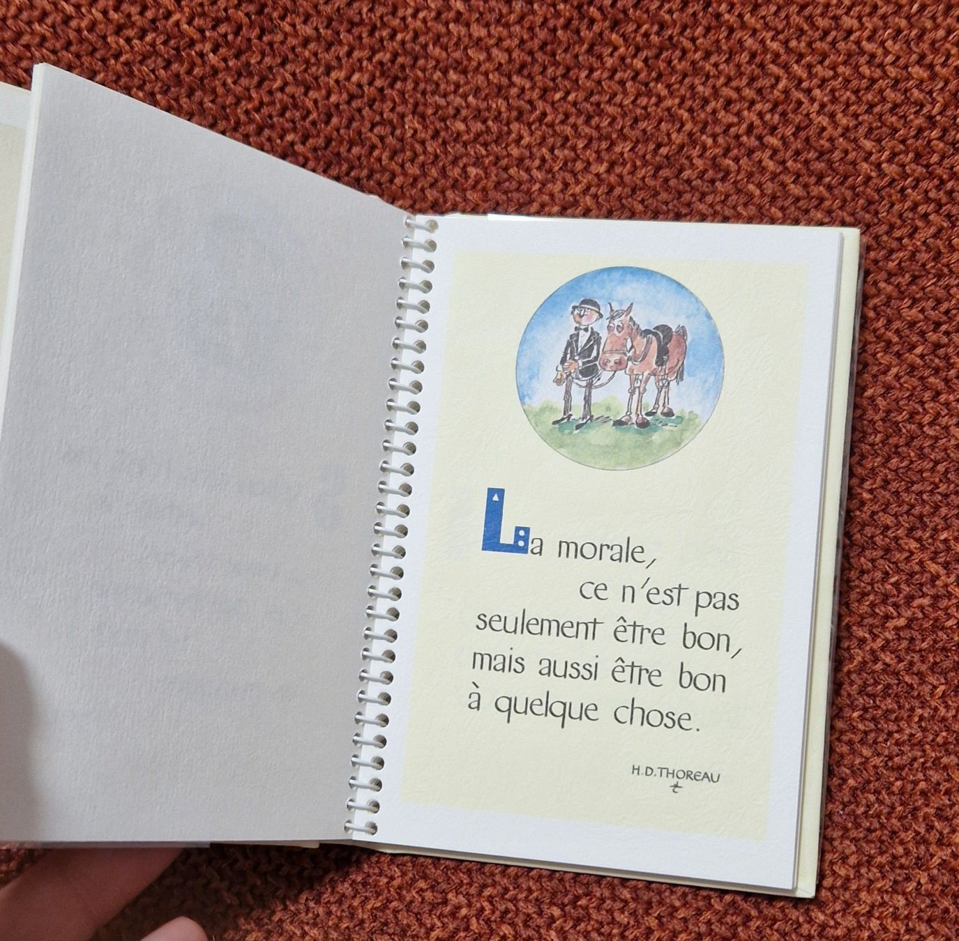 Bücher: mini livre "Sources de sagesse" – Gebraucht aus Epalinges von Ozili 1