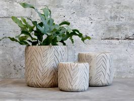 Chic Antique Übertopf mit Blattmuster, Höhe 13 cm
