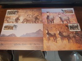 Lot de 4 cartes postales zèbres avec timbre - Afrique