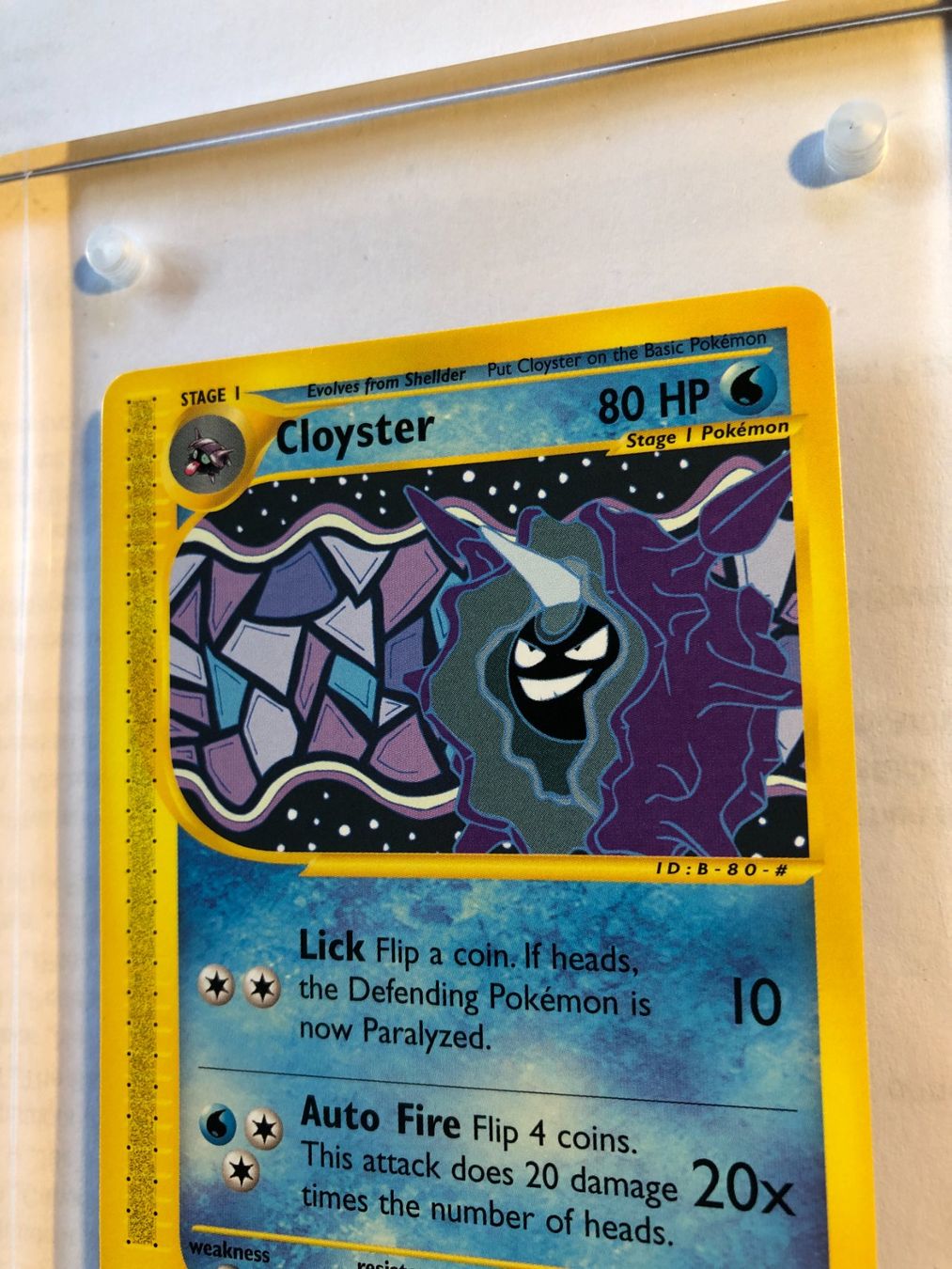 Carte collezionabili: Cloyster (rare) Expedition - MINT - ab 1.- – Usato da Giubiasco venduto da dan_pr8b 3