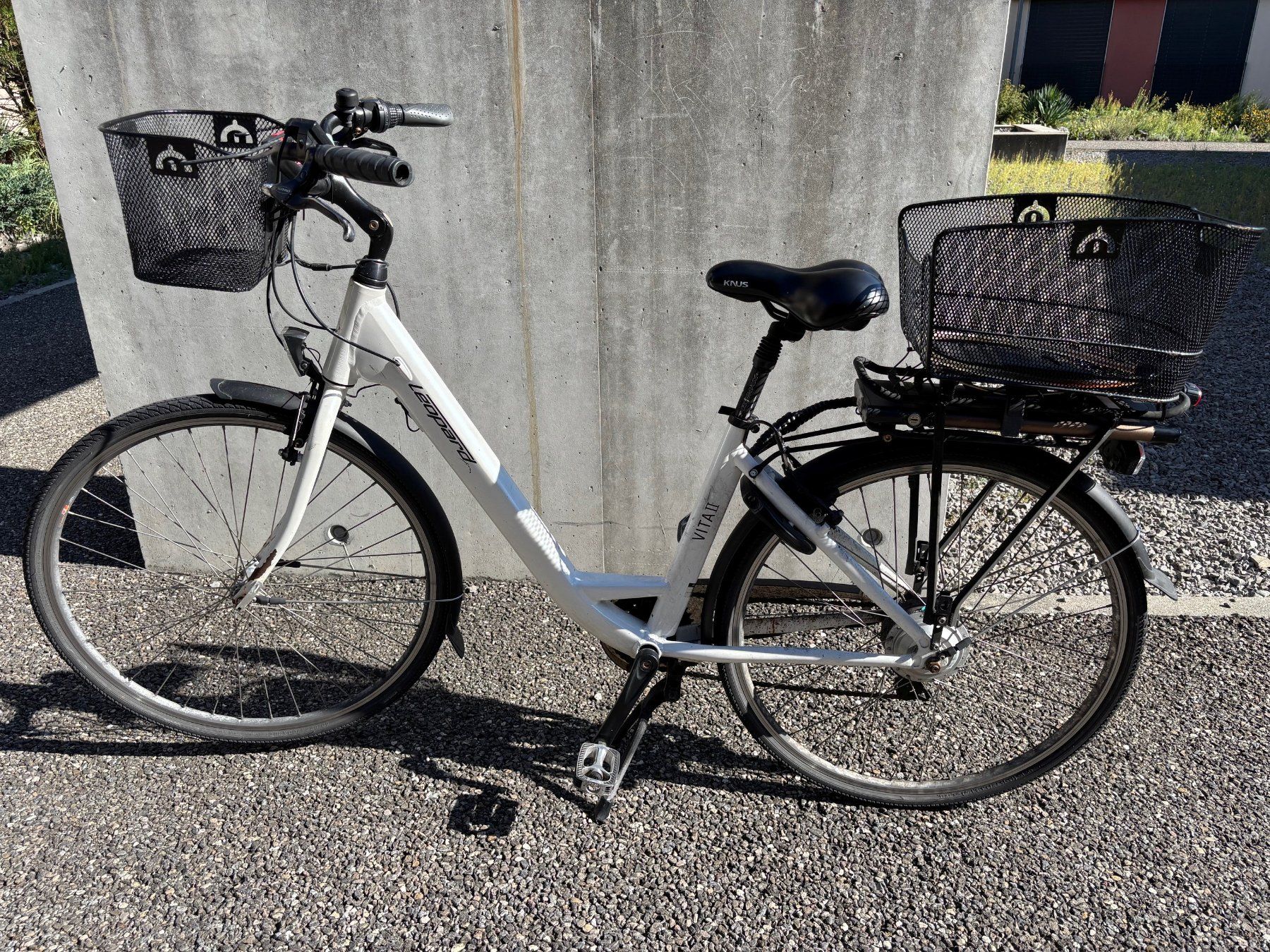 Leopard Biciclette: Elektrovelo Leopard gebraucht – Usato da Thun venduto da 8man 5