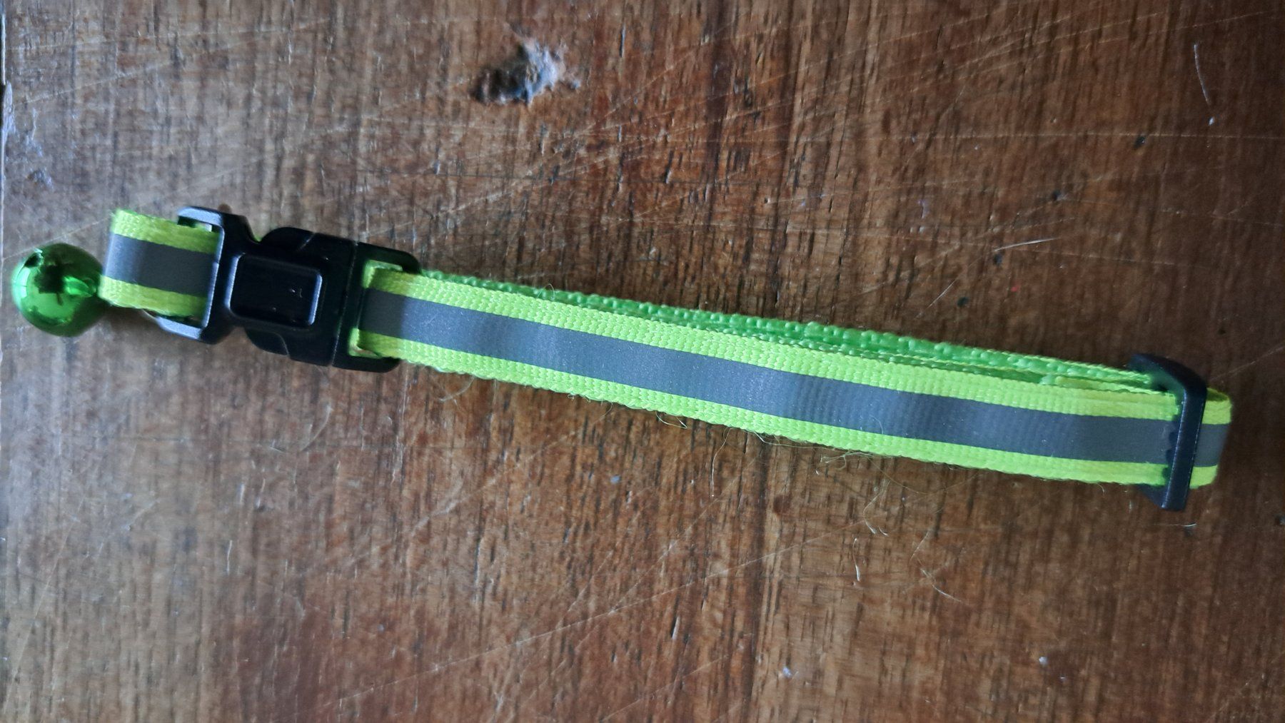 Leine & Halsband: EIN Katzen-/Hundehalsband reflekt. verst.b.19-33cm, divFarbe – Neu (gemäss Beschreibung) aus Ettingen von Maranathatalitha 8