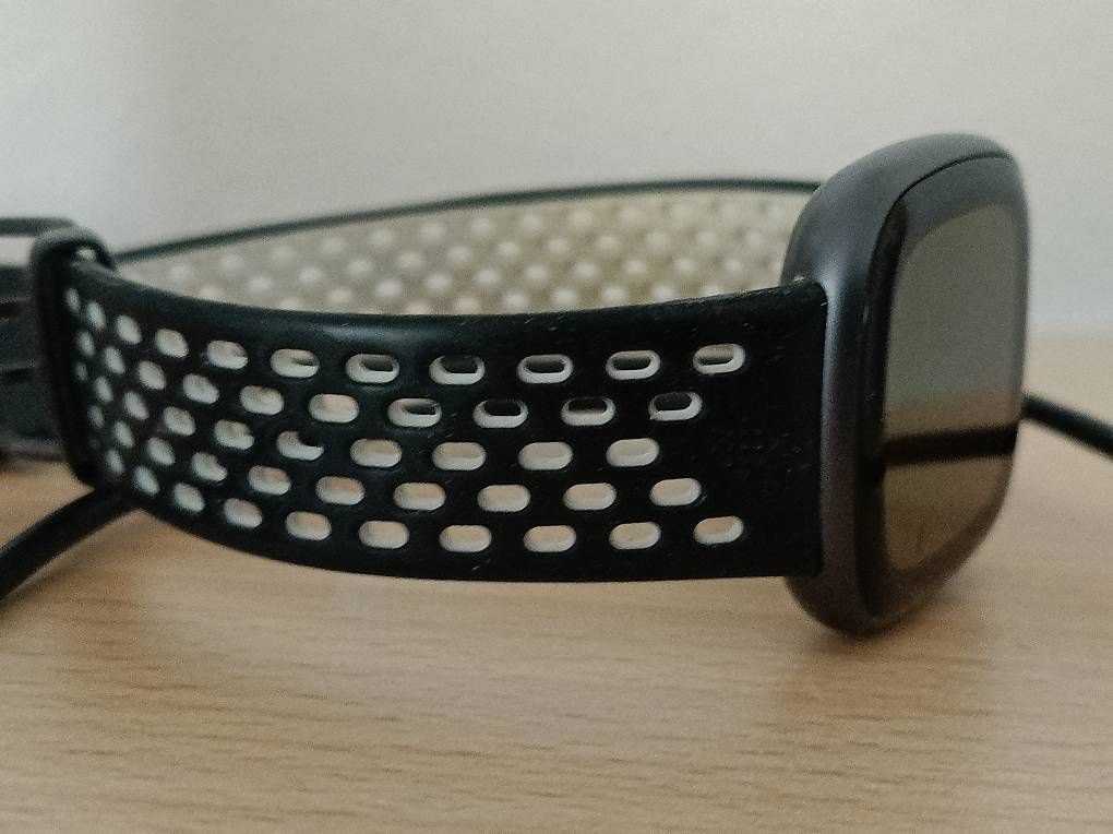 Fitbit Smartwatch: Fitbit Surge – Usato da Frick venduto da Umickey 2