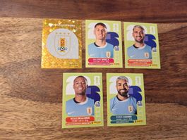 5 Panini Sticker WM 2026 URU