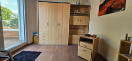 Schrank Bucheoptik mit Schubladen und Regaleinsatz, Korpus