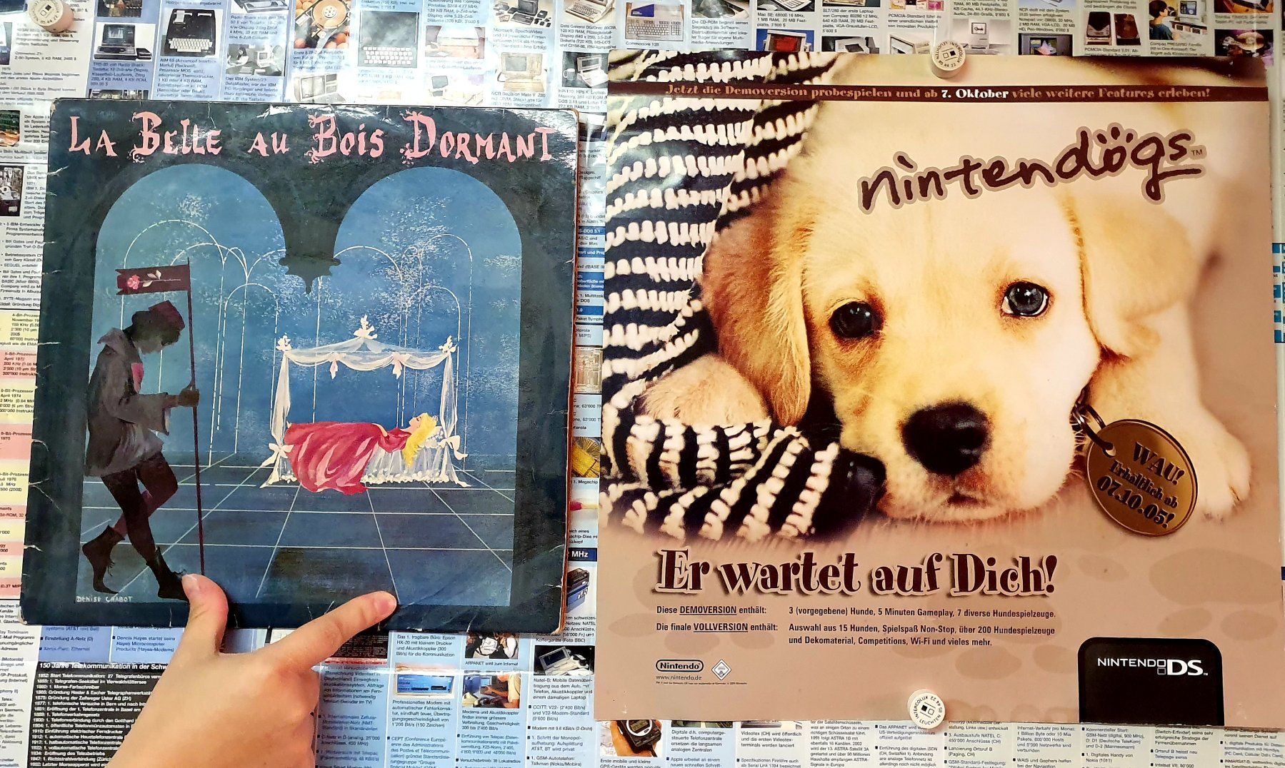 Nintendo Giochi: Nintendogs (NDS) - Promo-Plakat – Usato da Reinach BL venduto da _MasterK_ 1