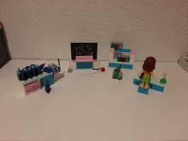 Lego Friends Labor
