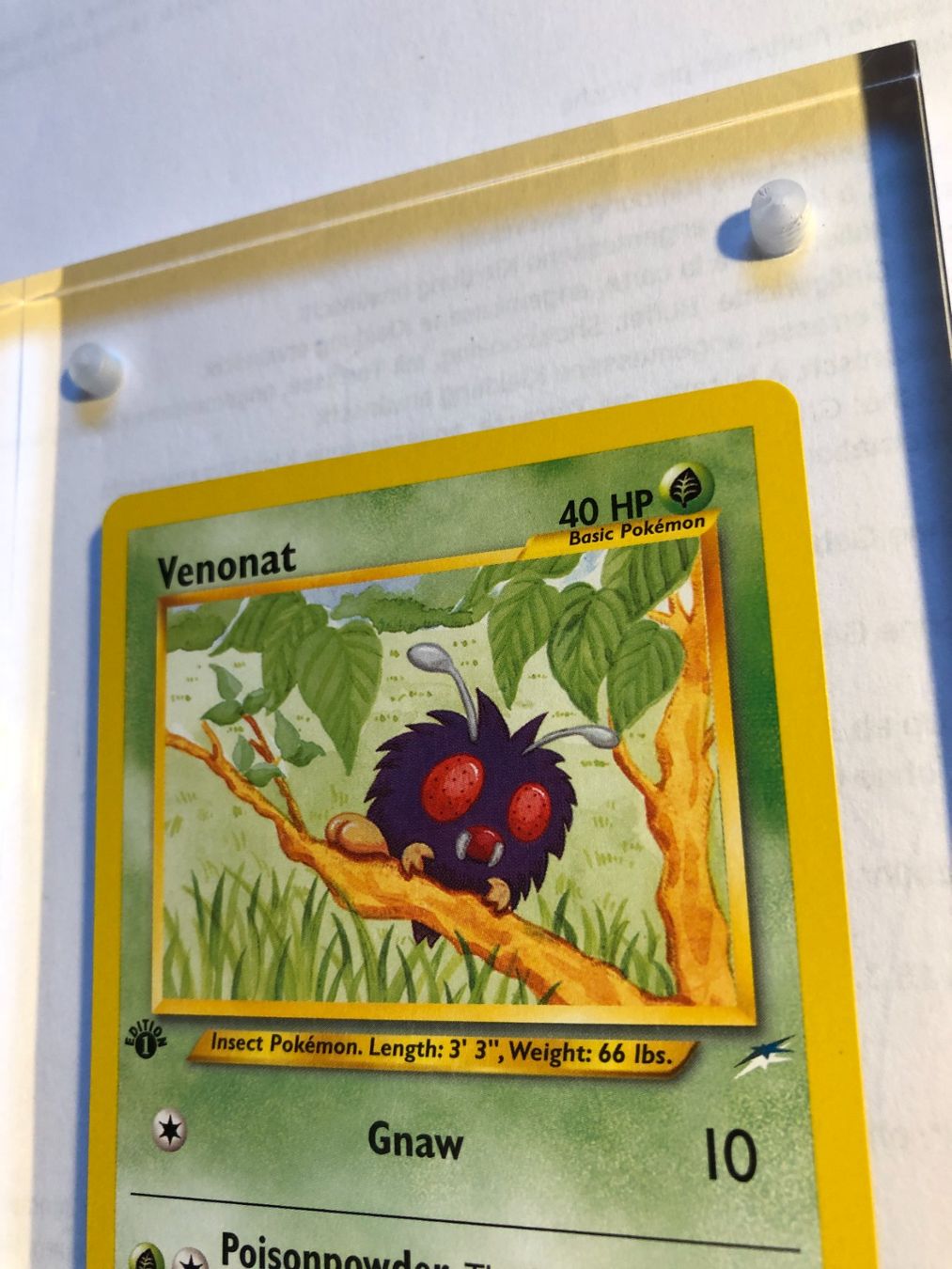 Carte collezionabili: Venonat 1st Neo Destiny - MINT - ab 1.- – Usato da Giubiasco venduto da dan_pr8b 3