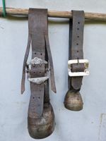 Alte Rundschellen