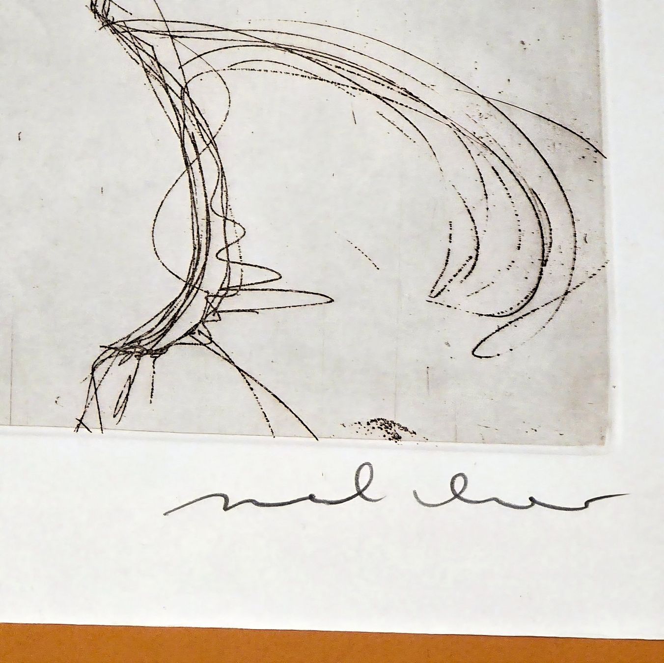 Grafica & Litografie: Walter Melcher. Filigrane Radierung. Handsign&nummeriert – Usato da Reinach BL venduto da Pendling 2