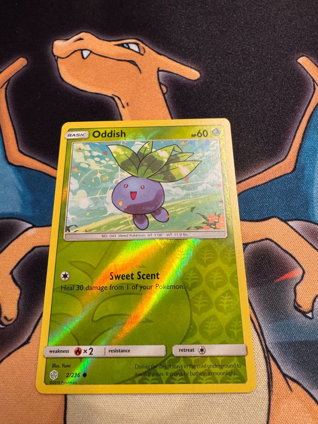 Pokémon Cartes à collectionner: Oddish (CEC 2) - Reverse Holo - Cosmic Eclipse – Neuf (Voir description) à Bülach par Pfrenzel