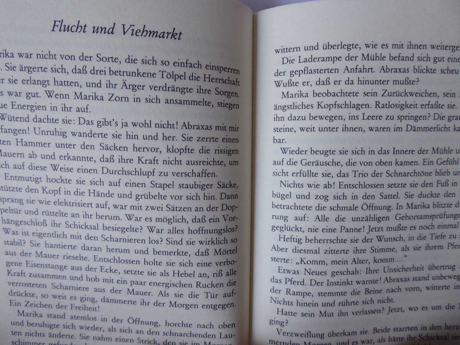 Bücher: ABRAXAS das total verrückte Zirkuspferd – Gebraucht aus Turbenthal von Nautop 2