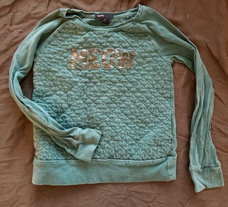 GAP Sweatshirt
