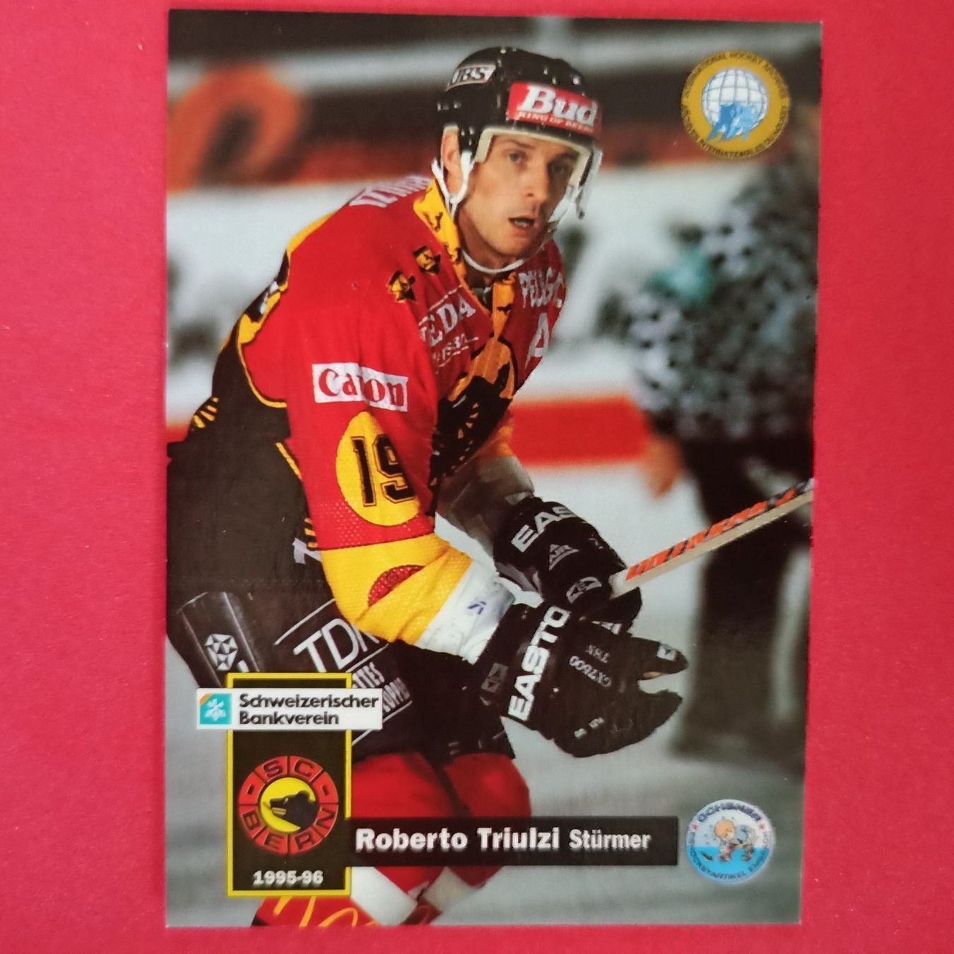 Carte collezionabili: Robert Triulzi - SC Bern - 1995/96 – Usato da Dübendorf venduto da kb86_MOVIE