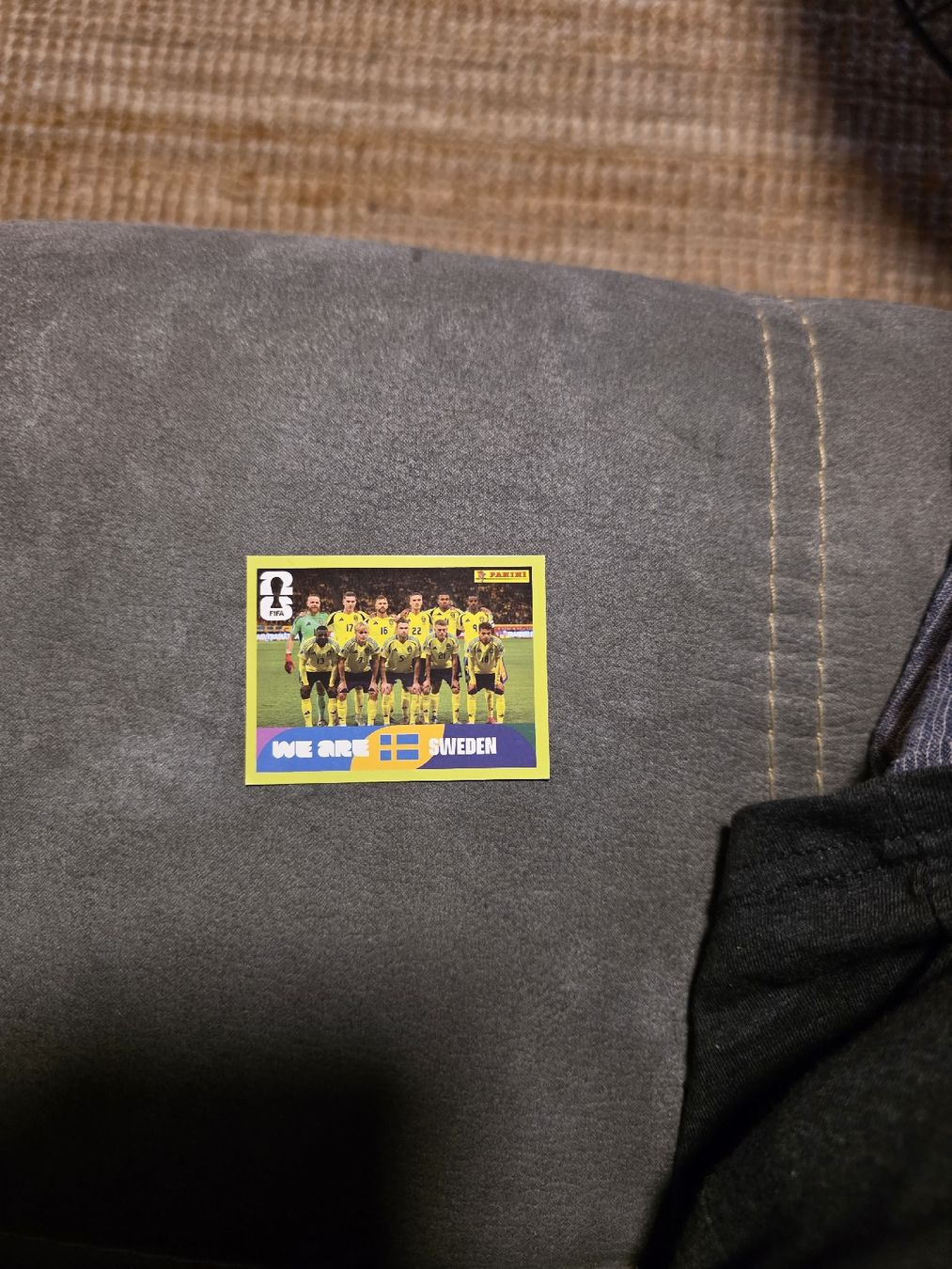 Panini Carte collezionabili: Panini WM 2026 SWE 13 – Nuovo (secondo la descrizione) da Romanshorn venduto da leeh78