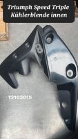 Triumph Speed Triple Kühlerblende T2103015